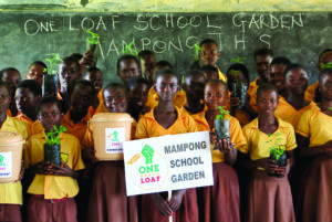 School Garden 2